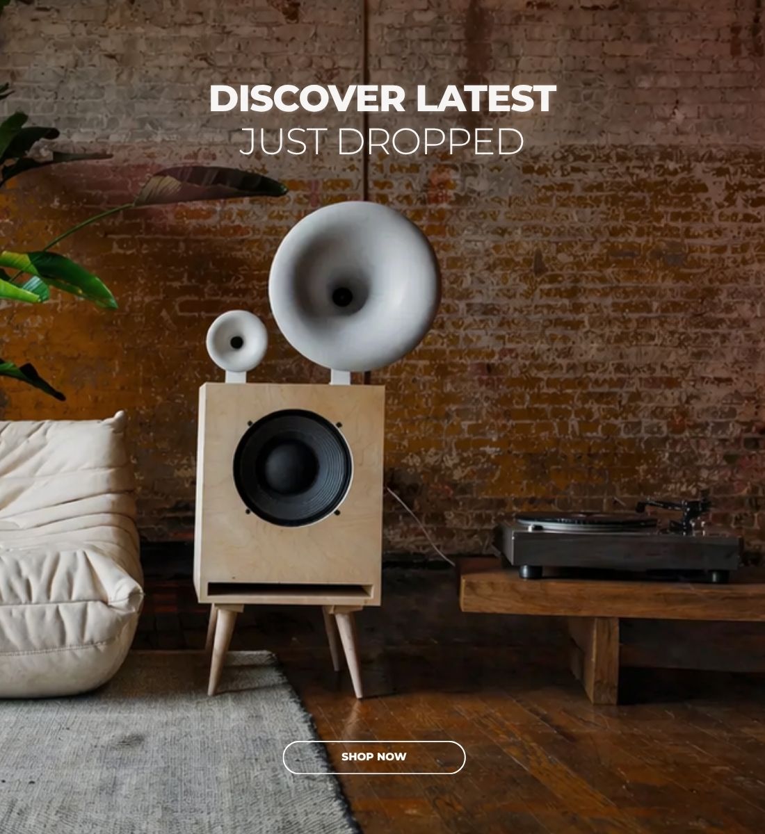 Discover latest — just dropped